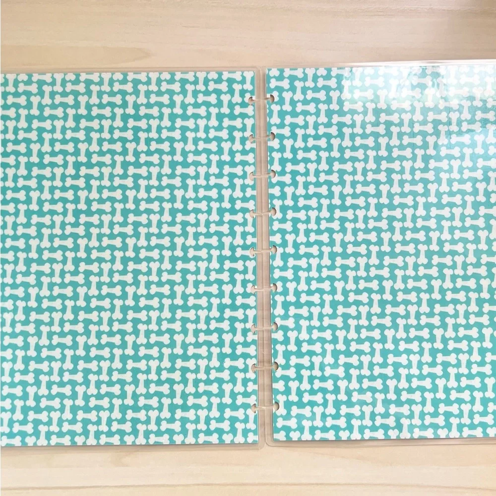 Happy Planner classic size cover set disney Pluto